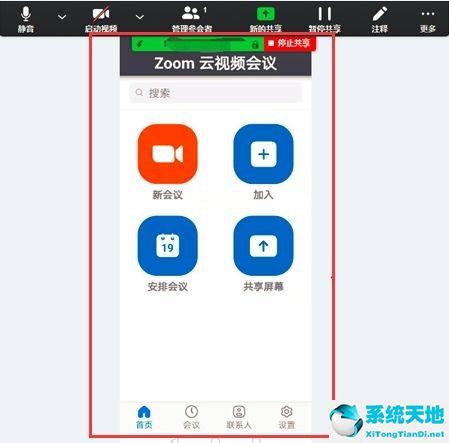 用zoom怎么共享屏幕(zoom设置共享屏幕)