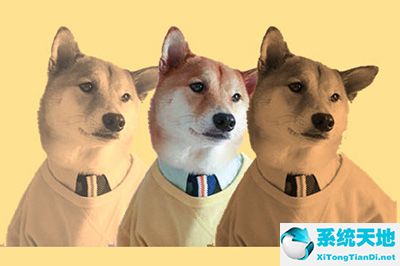 ppt的叠加(ppt怎么设置叠加图形模板)