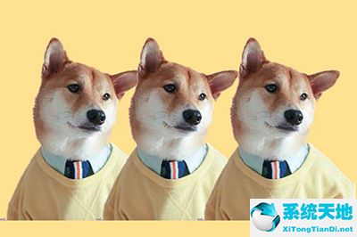 ppt的叠加(ppt怎么设置叠加图形模板)