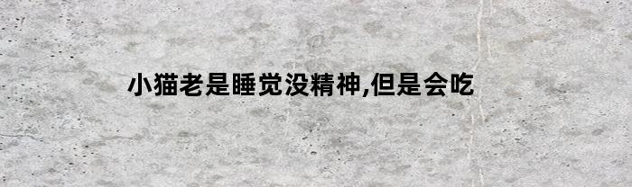 小猫老是睡觉没精神,但是会吃(猫咪爱睡觉没精神不吃饭)