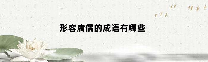 形容腐儒的成语有哪些(形容腐朽的成语)