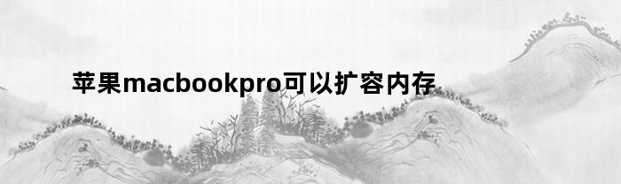 苹果macbookpro可以扩容内存吗(macbookpro支持扩展内存吗)
