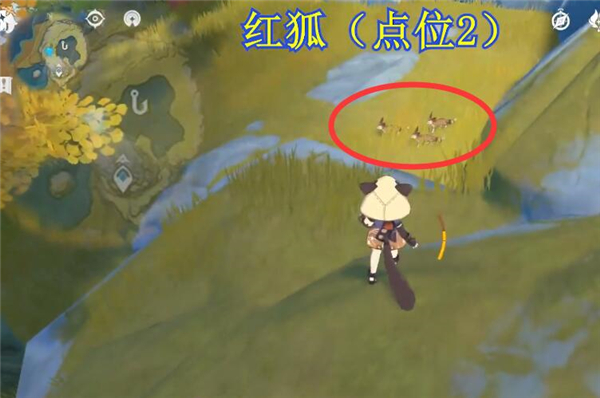 原神红狐位置攻略