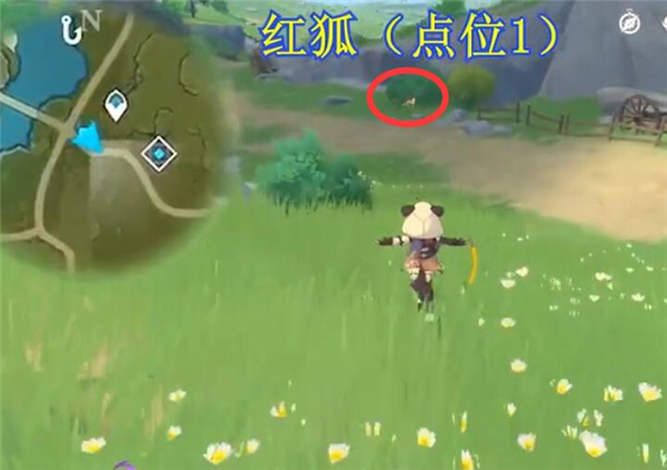 原神红狐位置攻略