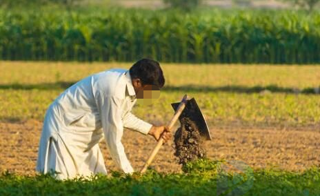 劳动节的来历简介30字(劳动节的来厉100字)