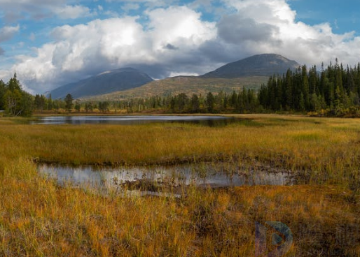 秦岭淮河分界线(秦岭淮河分界线是我国的什么分界线)