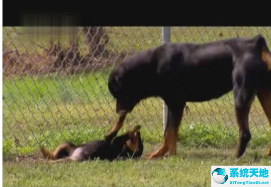 暴风影音截图怎么截图(暴风影音截屏的快捷键是什么)