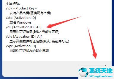 win11查看激活(w11 激活)