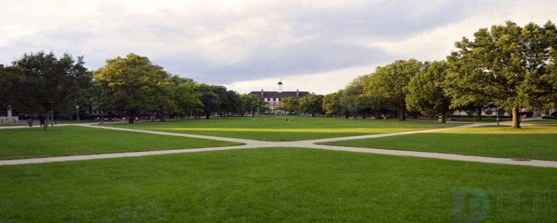 黑龙江林垦大学是几本(黑龙江林垦大学是几本院校)