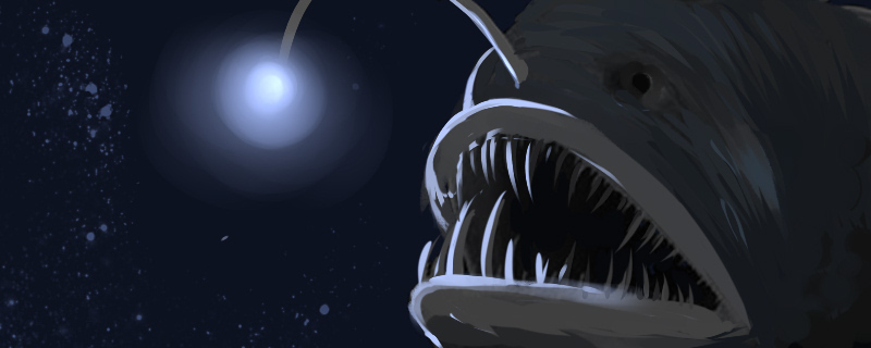 灯笼鱼是安康鱼吗为什么会发光(灯笼鱼和安康鱼有什么区别)