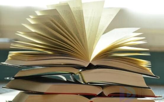 两袖清风怎敢误佳人(两袖清风怎敢误佳人 一身清贫怎敢入繁华图片)