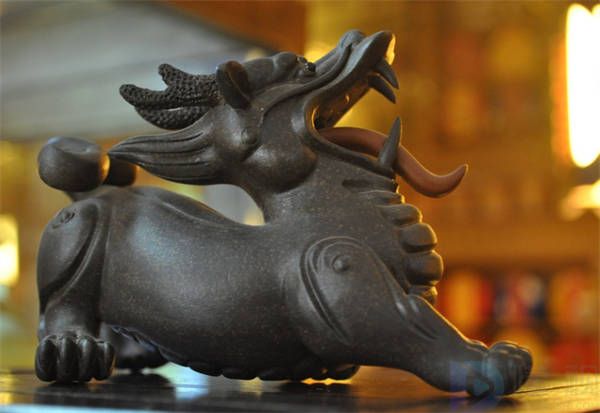 家中招财植物有哪些