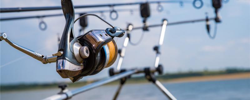 钓鱼竿怎么选钓鱼线怎么选(钓鱼竿怎么选择)