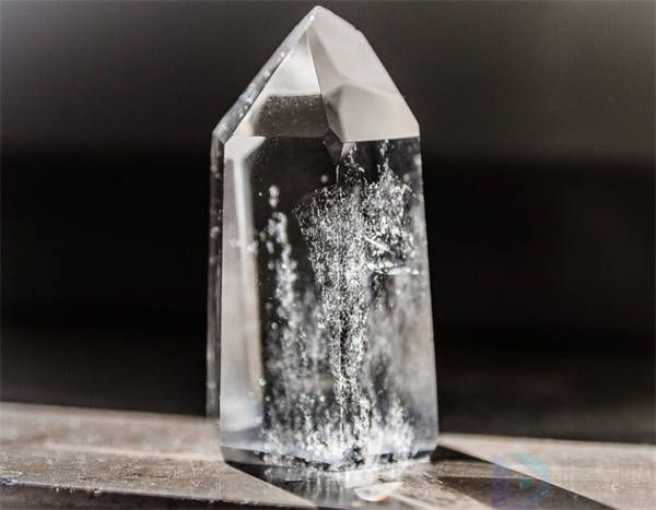 家中招财物品大搜罗(家中招财植物有哪些)