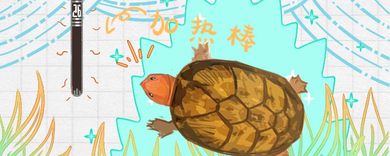 红面蛋龟可以忍受低温么水温多少合适(红面蛋龟会冷死吗)