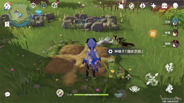 原神梦里生花活动种花方法