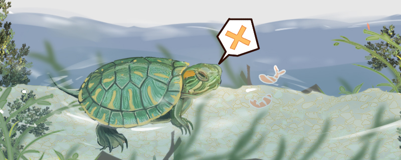 巴西龟不吃东西是什么原因怎么处理(巴西龟不吃东西怎么办)