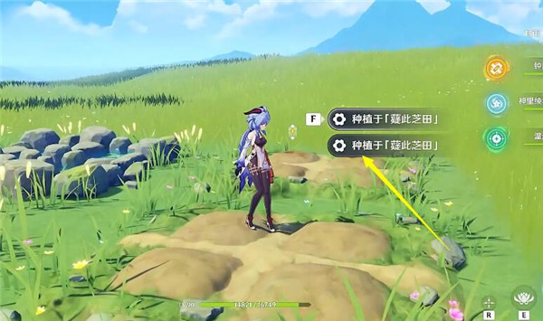原神梦里生花活动种花方法