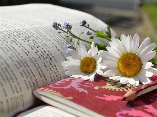 新婚祝福怎么说好