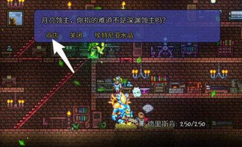 泰拉瑞亚埃特尼亚传送门条件介绍