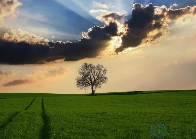 世界最著名的草原排名