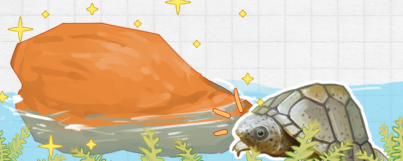 剃刀龟需要晒台吗需要黄蜡石吗(剃刀龟需要晒背台吗)