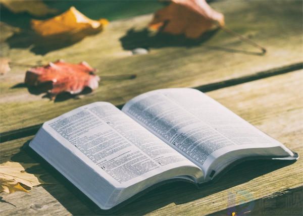 教师节创意语录