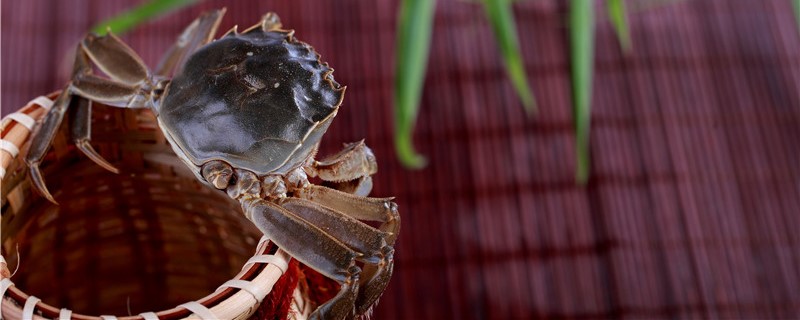 螃蟹能在鱼缸里养吗可以养多久(螃蟹能在鱼缸里养吗可以养多久啊)