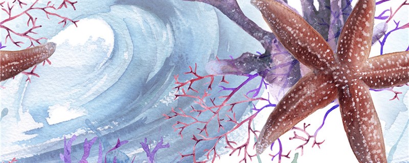 海星有毒吗毒性大吗(海星到底有没有毒)