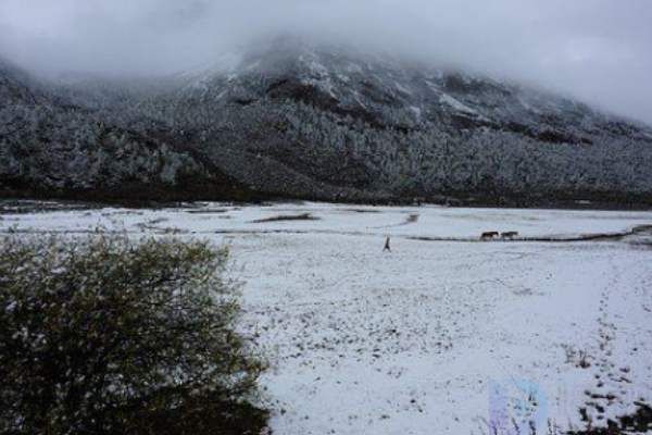 秋天霜降的诗句赏析(霜降秋天句子迷佳句欣赏)
