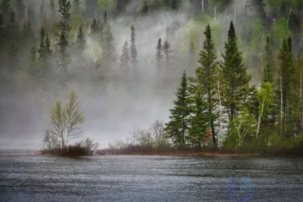 二十四节气芒种古诗赏析(二十四节气芒种的诗句)
