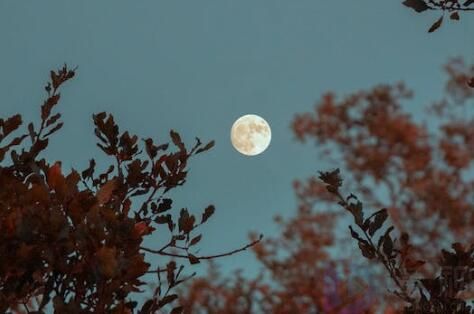 2023适合发月亮的文案(2022适合发月亮的文案图片)