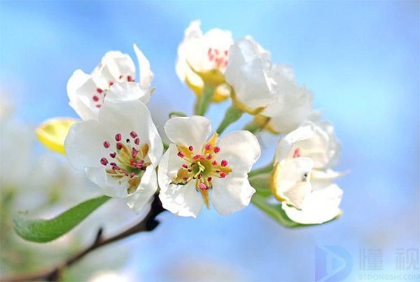 2023小满节气文案(小满节气宣传语)