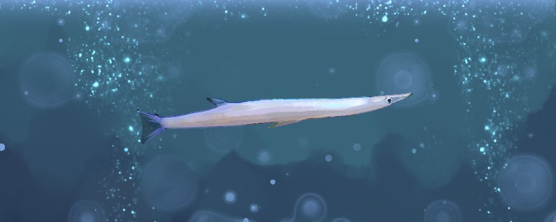 银鱼是什么鱼是海鱼吗(银鱼是什么鱼种)