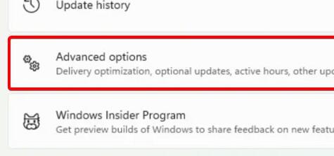 windows11安装不了显卡驱动(w10声卡驱动装不上)