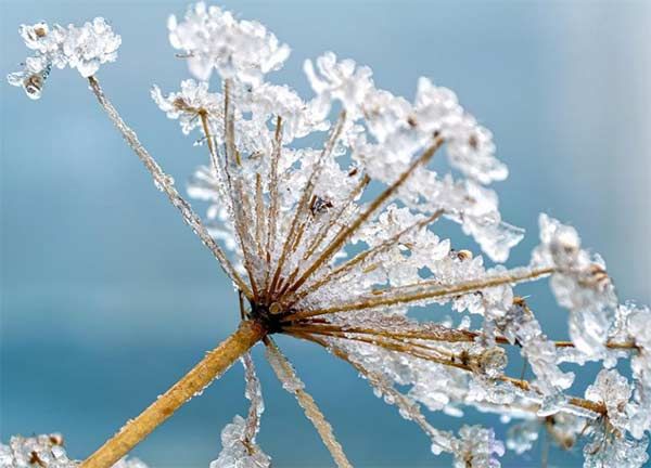 唯美治愈的小雪朋友圈句子(唯美治愈的小雪朋友圈句子短句)