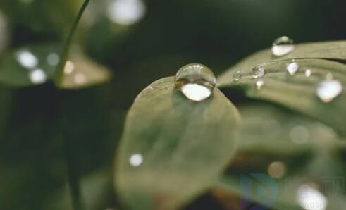 2023白露朋友圈文案句子(白露朋友圈的短句)