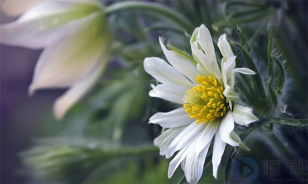 2022惊蛰节气朋友圈文案简短