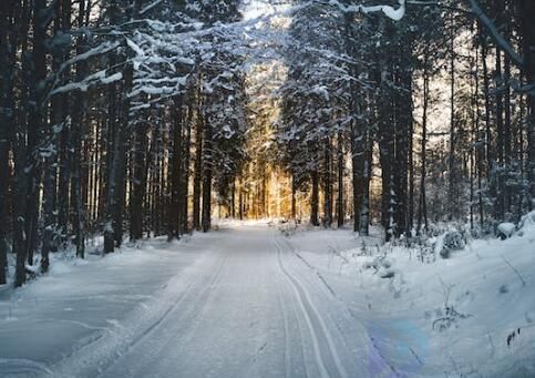 2023适合小雪节气的文案(2022适合小雪节气的文案短句)