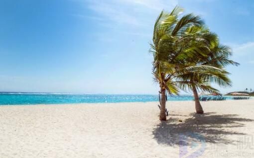 2023小暑朋友圈文案(小暑朋友圈祝福语)