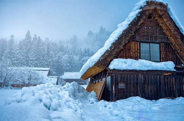 2023大雪发朋友圈的唯美句子(2022大雪发朋友圈的唯美句子简短)