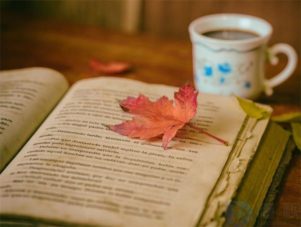 一个人品茶的句子(一个人品茶的句子怎么说)