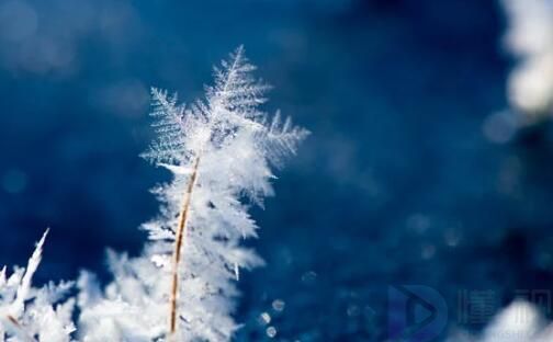 霜降文案很暖很贴心(适合霜降发的朋友圈短句)