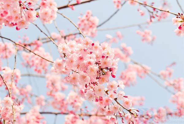 干净治愈的早安文案短句(治愈系早安心语)