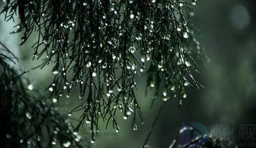 2023雨水节气朋友圈文案(2021雨水节气朋友圈说说)