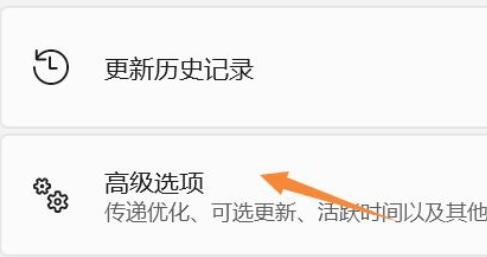 win11禁用驱动程序强制签名要密钥(win11禁用驱动程序强制签名时蓝屏死机咋回事)