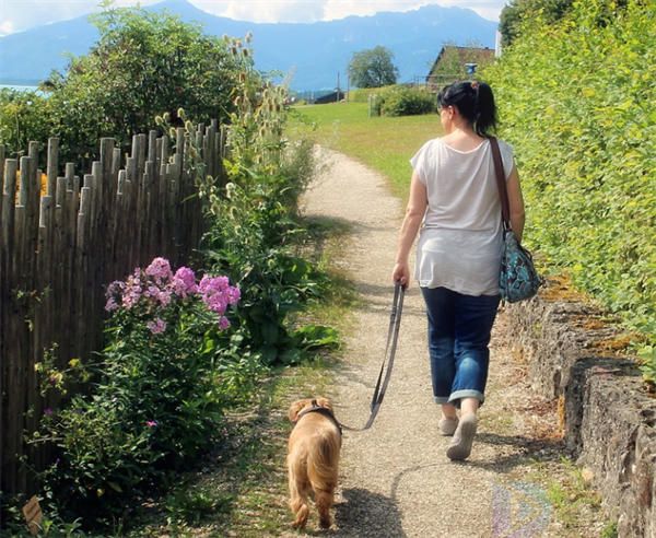 适合发朋友圈的散步文案(散步发的朋友圈文字)