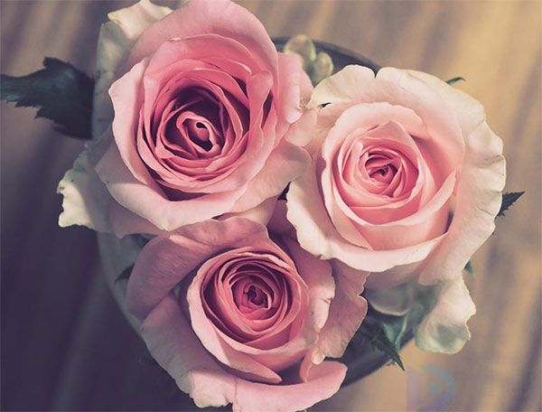 2023记录日常美好生活的文案短句(记录生活的美好的文案)