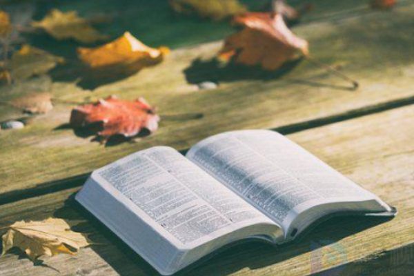 心酸想哭的朋友圈语录(心酸想哭句子)