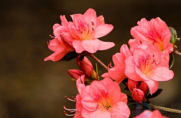 生活日常朋友圈文案怎么写(生活日常朋友圈句子)